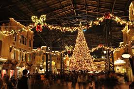 If conditions are just right, the impressive flowers may hang around for seven to eight weeks. Christmas In Japan Facts And Traditions Jrailpass