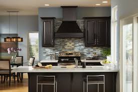 kitchen cabinet colors home decor