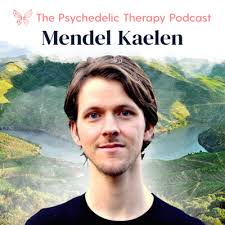 Mendel Kaelen (Wavepaths): The Science of Psychedelics & Sound by The  Psychedelic Therapy Podcast
