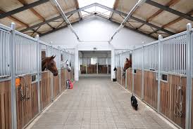 Firefighters help rescue a horse that fell in a barn maintenence pit. Horse Stables And Stalls What S The Difference Equimed Horse Health Matters