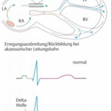 In der griechischen zahlschrift repräsentiert der kleinbuchstabe δ die zahl 4 und zusammen mit tiefgestelltem nummernzeichen als ͵δ die zahl 4000. Empty Delta Zeichen Doccheck Flexikon