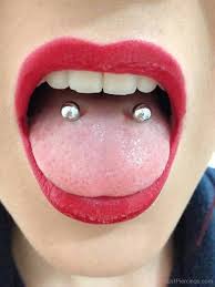 Venom tongue piercing experience ep 339, double tongue piercing venom healing process, venom tongue hardcorowe przekłucie języka bezpieczny piercing, y lwena gets a venom piercing. Horizontal Venom Piercing With Silver Studs
