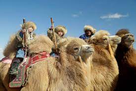 How to delete outlook account. Oyu Tolgoi On Twitter The Opening Ceremony Of The Mongolian Camel 999 Event Starts Off With The Camel Parade Camelfestival Https T Co Fmv0cucob6