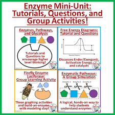 Mini Unit On Enzymes This Unit Contains Question Sheets Content Tutorials Group Activities And Applicat Biology Classroom Teaching Biology Biology Lessons