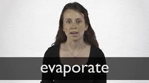 We did not find results for: Evaporate Definition And Meaning Collins English Dictionary