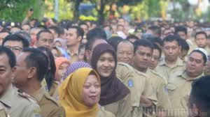Pembayarannya setelah itu bisa november dan desember, tapi yang jelas tahun ini. Tag Gaji Pns Sebelum Ikut Penerimaan Cpns 2021 Simak Daftar Besaran Gaji Pns Terbaru Semua Golongan Surya