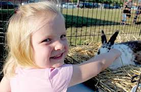 30ffc56646e994a3a69ff65c51f342f0a7070cd87b43da688cec82a55b853dc1