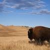 It gives you the chance to enjoy the rocky mountains in leisure. 1