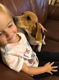 Jacob Belding's Texas Beagles