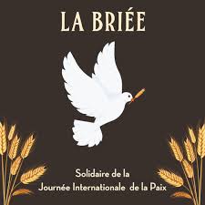 Des milliers de jeunes manifestants ont défilé dans les rues de montréal, pour appeler les élus canadiens à agir de. Epingle Sur La Briee