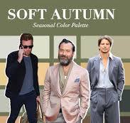 Soft Autumn Colour Palette Complete Guide for Men
