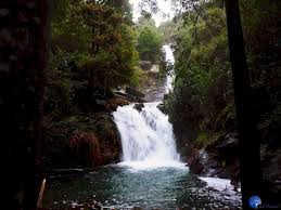 Situated in mortagua, this vacation home is 5.6 mi (9 km) from green bridge park and 10.9 portugal dos pequenitos. Pelos Trilhos De Portugal Quedas De Agua Das Paredes Mortagua Descla