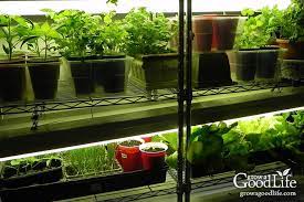 The best spot for your indoor herb garden is on a sunny kitchen windowsill if you have one. 10 Steps To Starting Seedlings Indoors