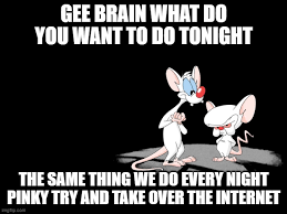 Animation.the characters first appeared in 1993 as a. Pinky And The Brain Imgflip
