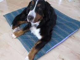 This is an excellent project that your dog or puppies will love! How To Make A Durable Dog Bed For Less Than 25 Diy Network Blog Made Remade Diy