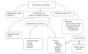 Check spelling or type a new query. Http Www Sogiba Org Ar Documentos Flasog Pdf