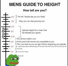 Men Height Chart Meme Best Memes About Height Chart