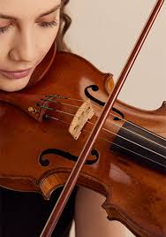 Violin