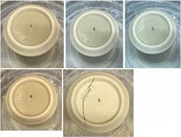 We did not find results for: Drying Ceramics Without Cracks