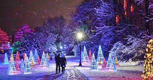 Full of beautiful sights, freezing temperatures, shopping and more! Winter Festival Of Lights Holiday Inn By The Falls