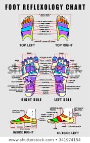 Vector Images Illustrations And Cliparts Foot Reflexology
