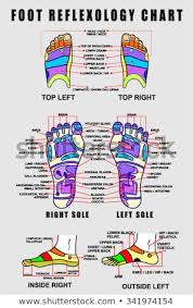 vector images illustrations and cliparts foot reflexology