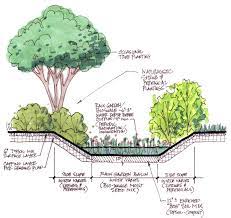 Want to do your bit to help save the planet? Rain Garden Design Rain Garden Landscape Architecture Drawing