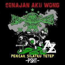 Gm memposting gambar jokowi dengan menggunakan topi bermotif bintang kejora, di mana foto itu. 63 Ide Psht Di 2021 Seni Bela Diri Pencak Silat Bunga Teratai