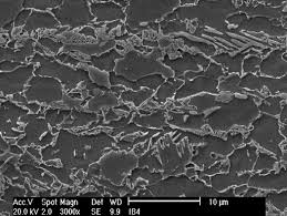 Image result for steel micrograph