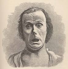 Darwin, C. R. 1890. The expression of the emotions in man and animals. 2d  edition. Edited by Francis Darwin. London: John Murray.