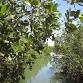 Gulfport Clam Bayou Environmental History Walking Tour