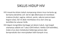 Tahapan infeksi virus hiv hingga menjadi aids. Ppt Diagnosed With Hiv Aids Powerpoint Presentation Free Download Id 5080408