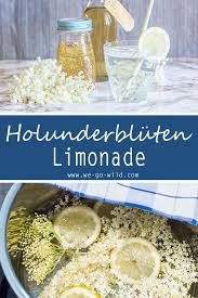 Limonade Selber Machen 10 Erfrischende Limo Rezepte Birkenzucker Holunderblutensirup Rezept Holunder