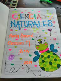 Ver más ideas sobre margenes para cuadernos, cuadernos, bordes garabateado. Las Mejores Portadas Y Caratulas Para Cuadernos 2021 En 2021 Caratulas Para Cuadernos Cuadernos Creativos Marcas De Cuadernos