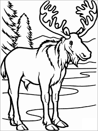Coloring pages, colored pencils, pens & cookies provided. Coloring Page Of Caribou Coloringbay