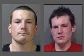 Chilliwack man gets conditional sentence for home break-in