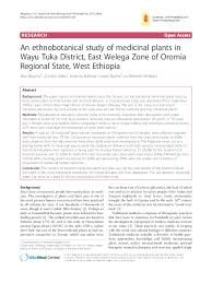 Image result for Englerina woodfordioides