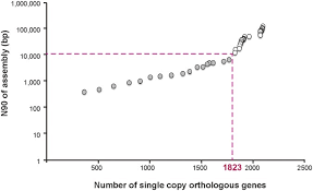 Artem chernousov and vitalina batsarashkina, roc. Comparative Genomics Of Vibrio Campbellii Strains And Core Species Of The Vibrio Harveyi Clade Scientific Reports