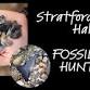 Fossil Hunt at Stratford Hall event image