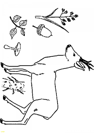 Ausmalbild Reh Und Kitz Bester Ausmalbilder Malvorlagen
