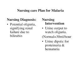 Nursing intervention in alleviating loneliness in elderly homes. Ppt Malaria Powerpoint Presentation Free Download Id 326172