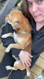 Is anyone willing to rescue this sweet boy. He was our neighbors dog but  they moved out and left him. He’s been with us but we are unable to keep  him.