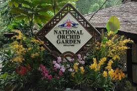 It is absolutely stunning with all of its wondrous features and stunning gardens. The 10 Best Singapore Botanical Garden National Orchid Garden Tours Tickets 2021 Viator