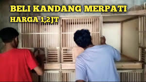 Info pemesanan dongdang,gupon, kandang macan/polier, dan ginseng teki. Beli Kandang Merpati Harga 1 2jt Banjar Sari Cilongok Youtube