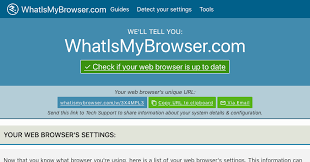 What Browser? My Browser? Is My Browser Out Of Date?