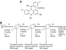 At p cookson maintenance we specialise in epc (energy performance certificates) and eicr's (electrical installations condition reports). Telomere Uncapping By The G Quadruplex Ligand Rhps4 Inhibits Clonogenic Tumour Cell Growth In Vitro And In Vivo Consistent With A Cancer Stem Cell Targeting Mechanism British Journal Of Cancer