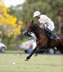 December 2020 Polo Players' Edition by United States Polo Association