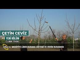 Ciftcinin Sesi Cevizde Gubreleme Programlari Youtube