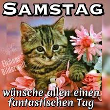 Samstag Bild 1 Samstag Bilder Samstag Guten Morgen Samstag Bilder