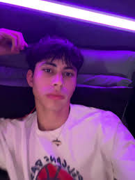 Exploring the World of Seiler2121 and Furia Luminosa